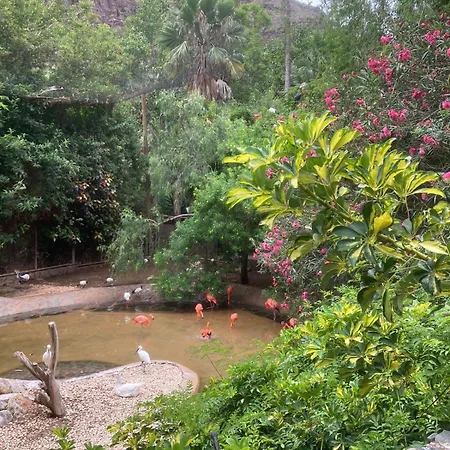 Apartamento Flamingos Nest Koka 1604 *